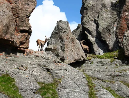 Théo Gastinel en repérage technique sur les crêtes du Vercors