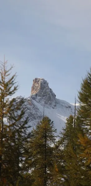 Matériel de prise de vue et équipement d'expédition hivernale