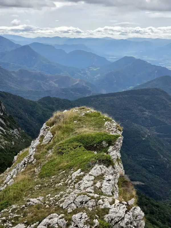 Alignements topographiques et collines du sud du massif.