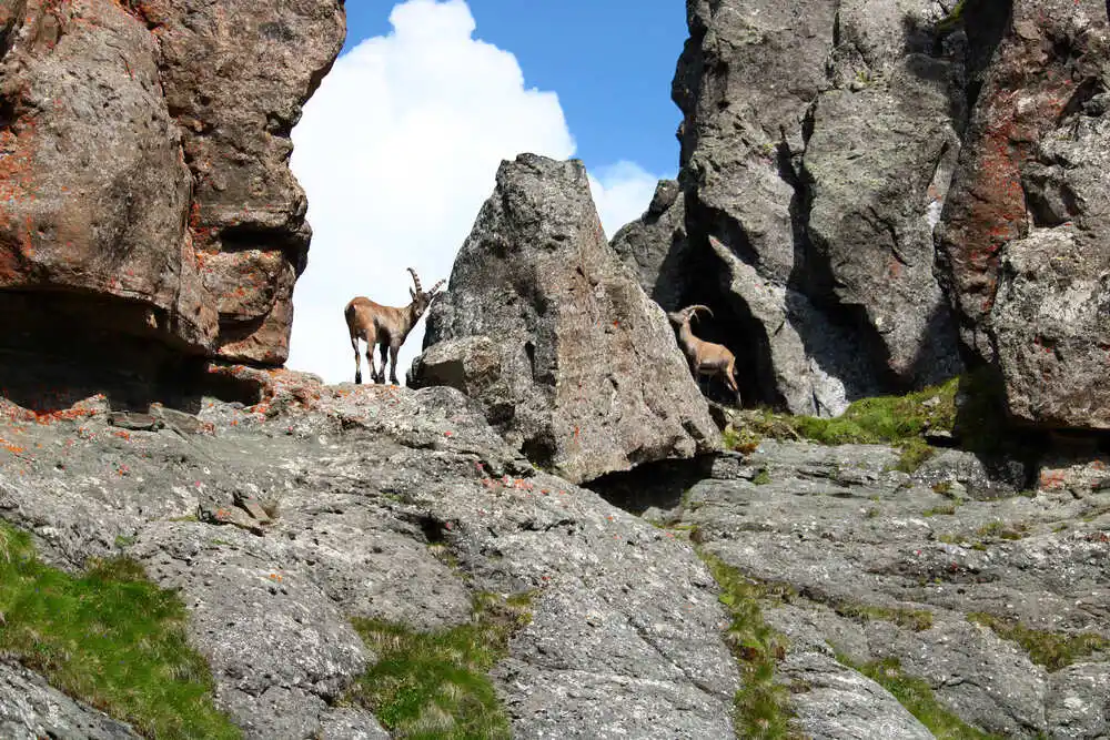 Architecture minérale vertigineuse sculptée par les millénaires dans les Dolomites