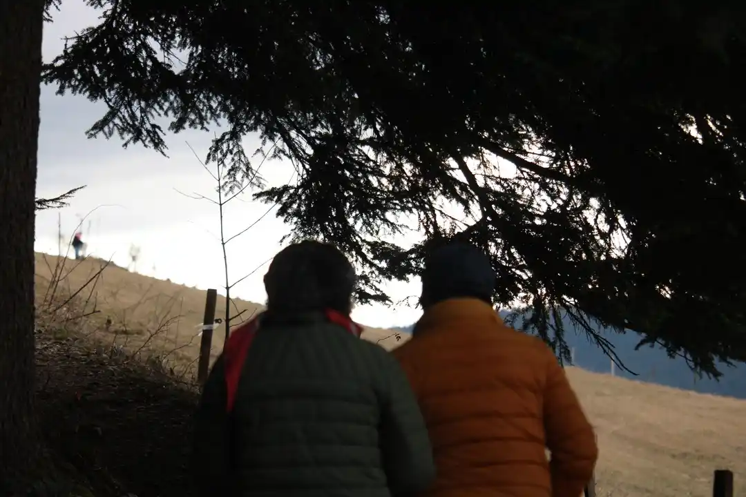 Scène de vie légèrement floue en pleine nature.